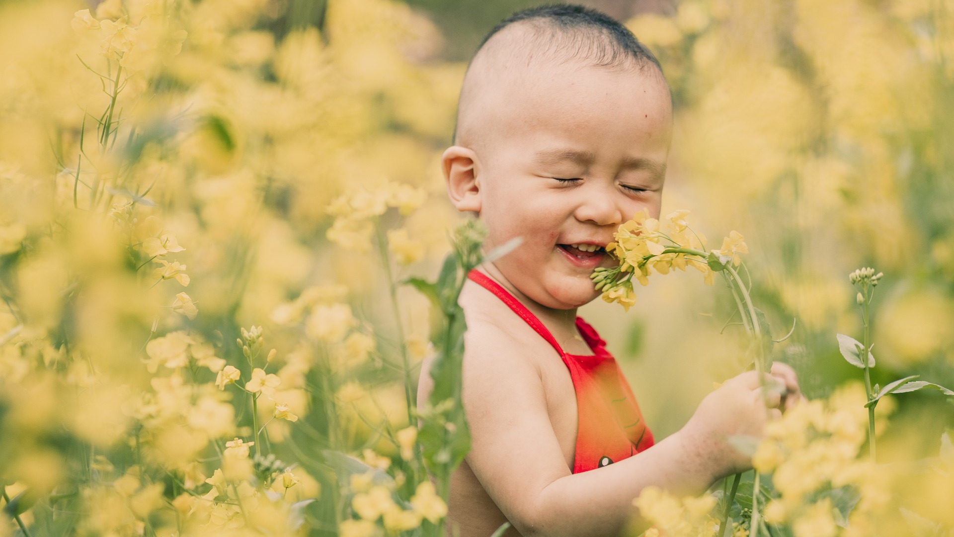 Child smelling flowers