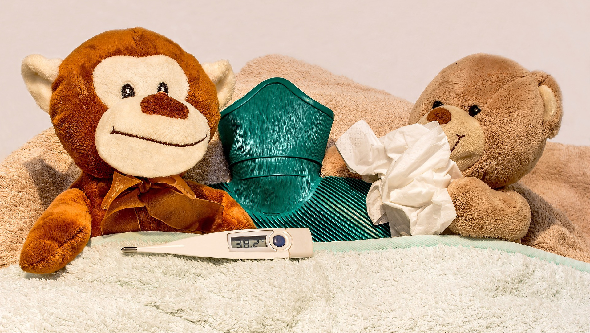 2 stuffed animals in a bed with tissue and a thermometer