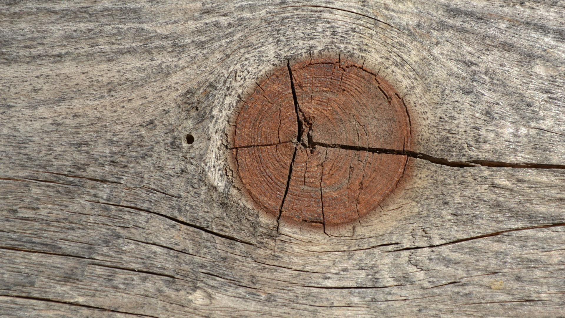 fissure in wood as a metaphor for anal fissure