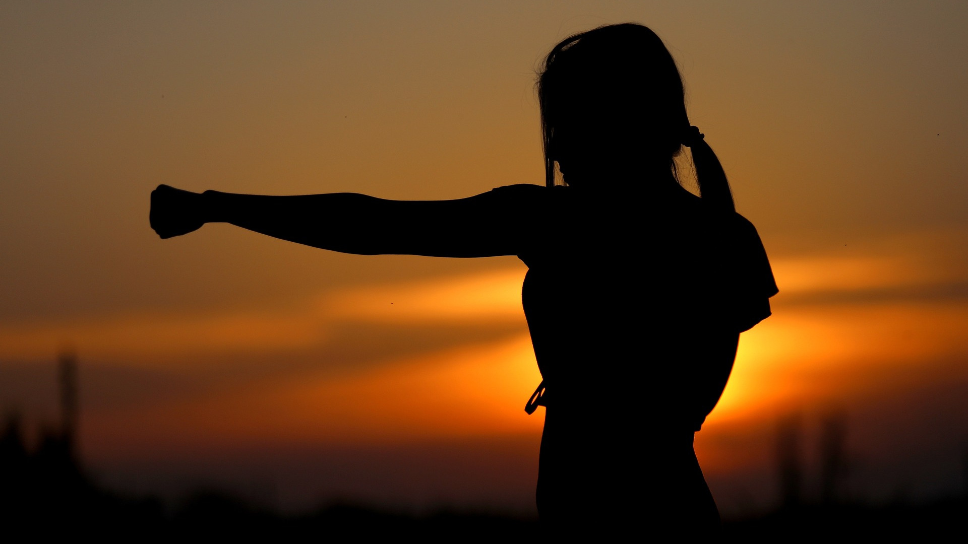 Silhoutte of a woman doing karate