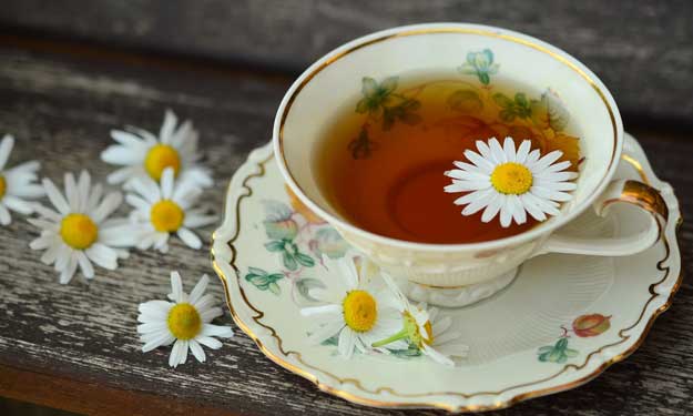 Herbal Tea in a Cup