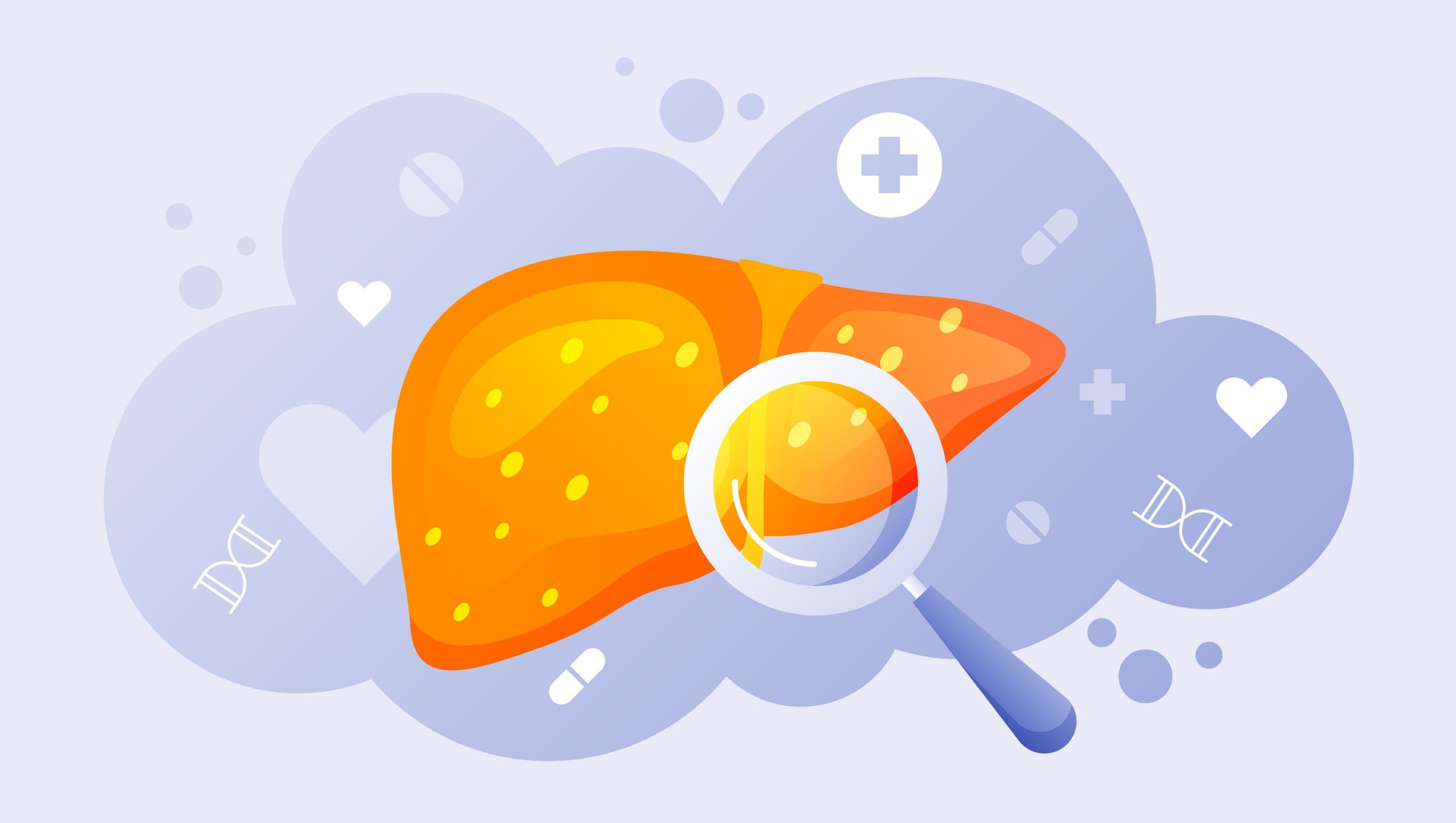 Depiction of a liver with a magnifying glass