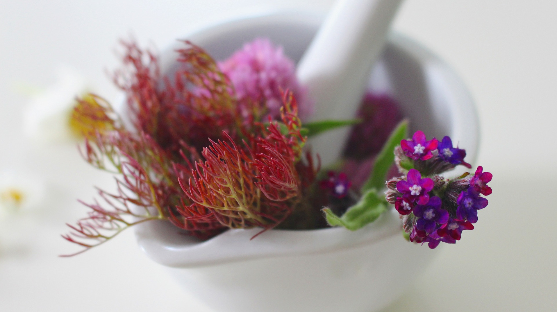 Medicinal flowers in a mortar and pestle.