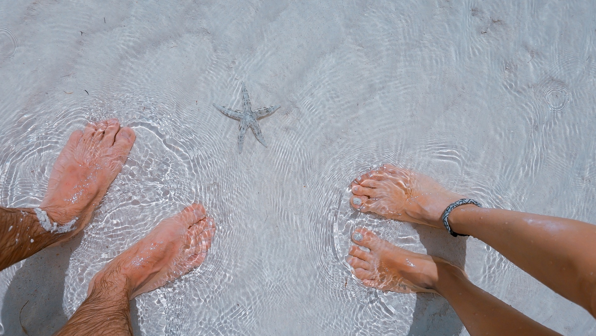 Star fish and a couples feet in the ocean