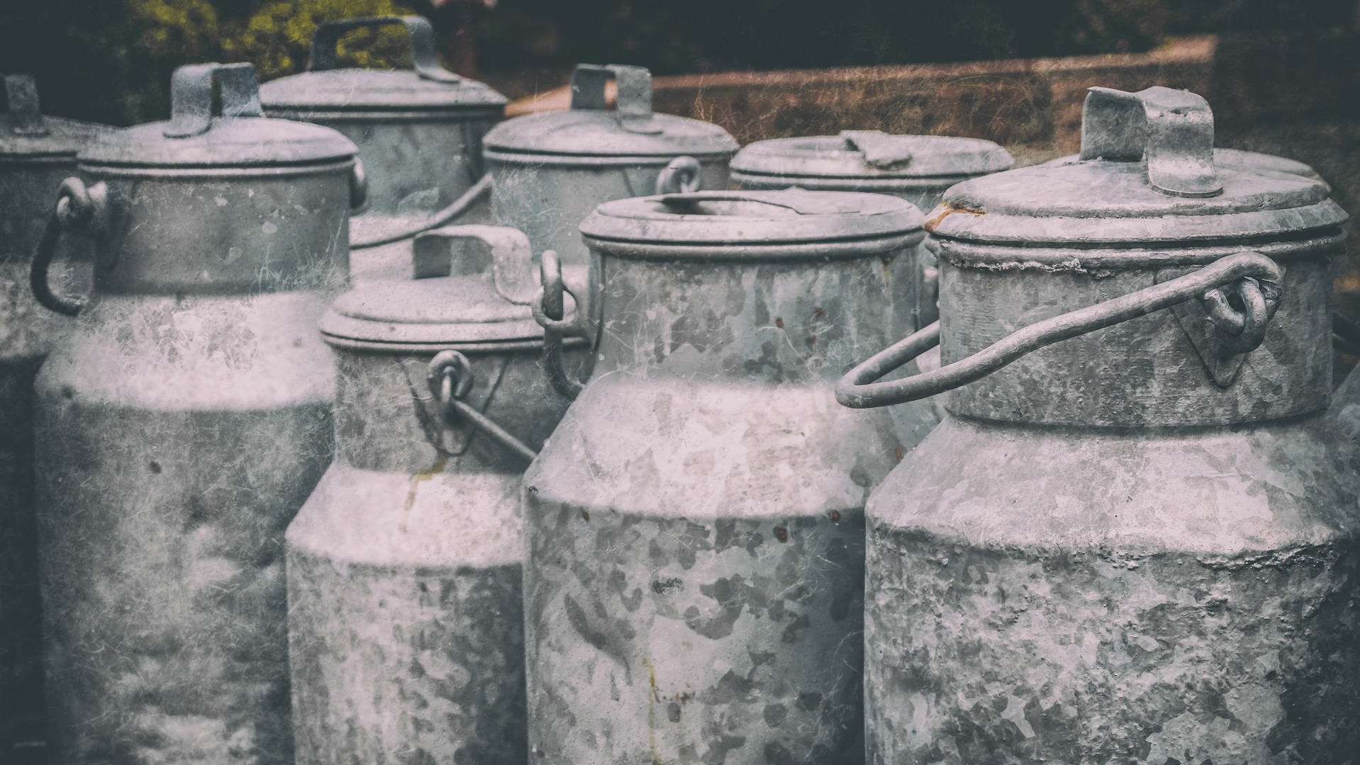 Milk Cans Made of Zinc