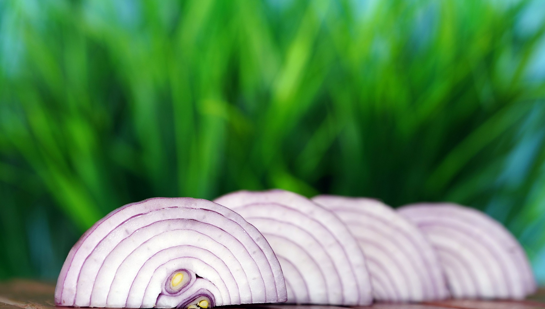 Red Onion Slices